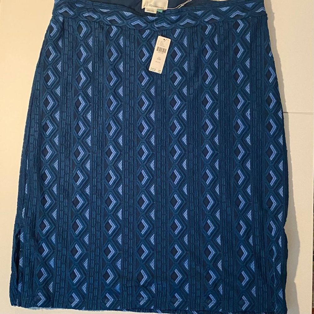 Anthropologie skirt